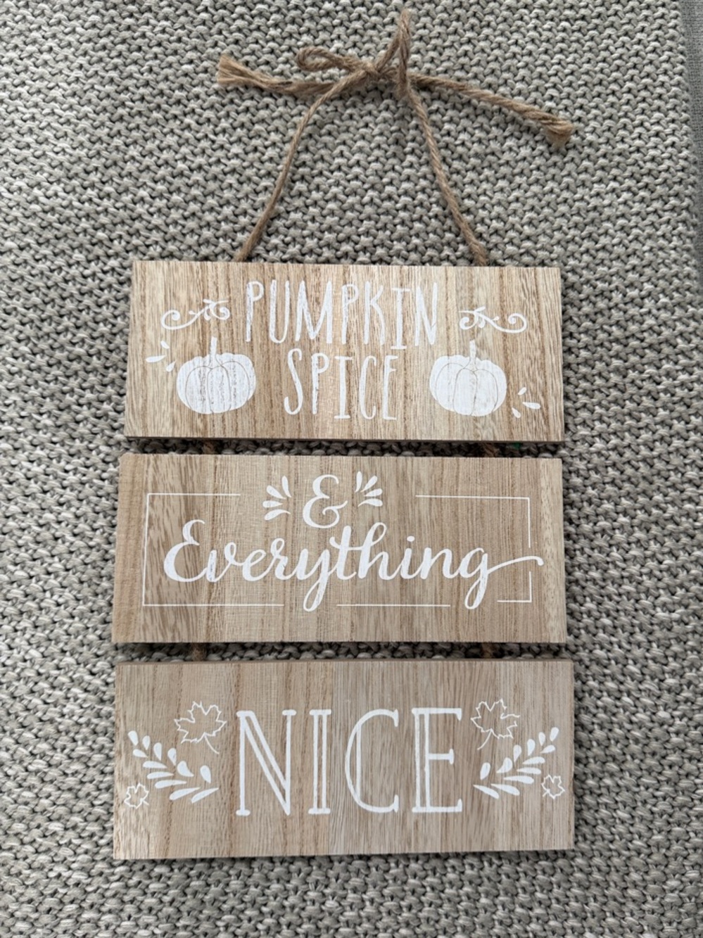 Wooden 'Pumpkin Spice & Everything Nice' Hanging Sign - Natural Beige